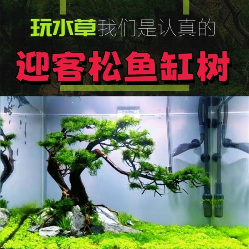 Resin Art With Wood - อ่างดอกไม้ศิลปะจากไม้ลอยน้ำแบบเป็นมิตรกับสิ่งแวดล้อมสำหรับตกแต่งตู้ปลา พร้อมขนาดที่ปรับแต่งได้
